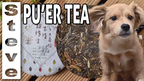 DALI CHINA - Tasting Pu'er Tea for the First Time 🇨🇳