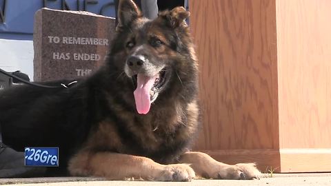 Green Bay Police Department K9 Vilac retiring