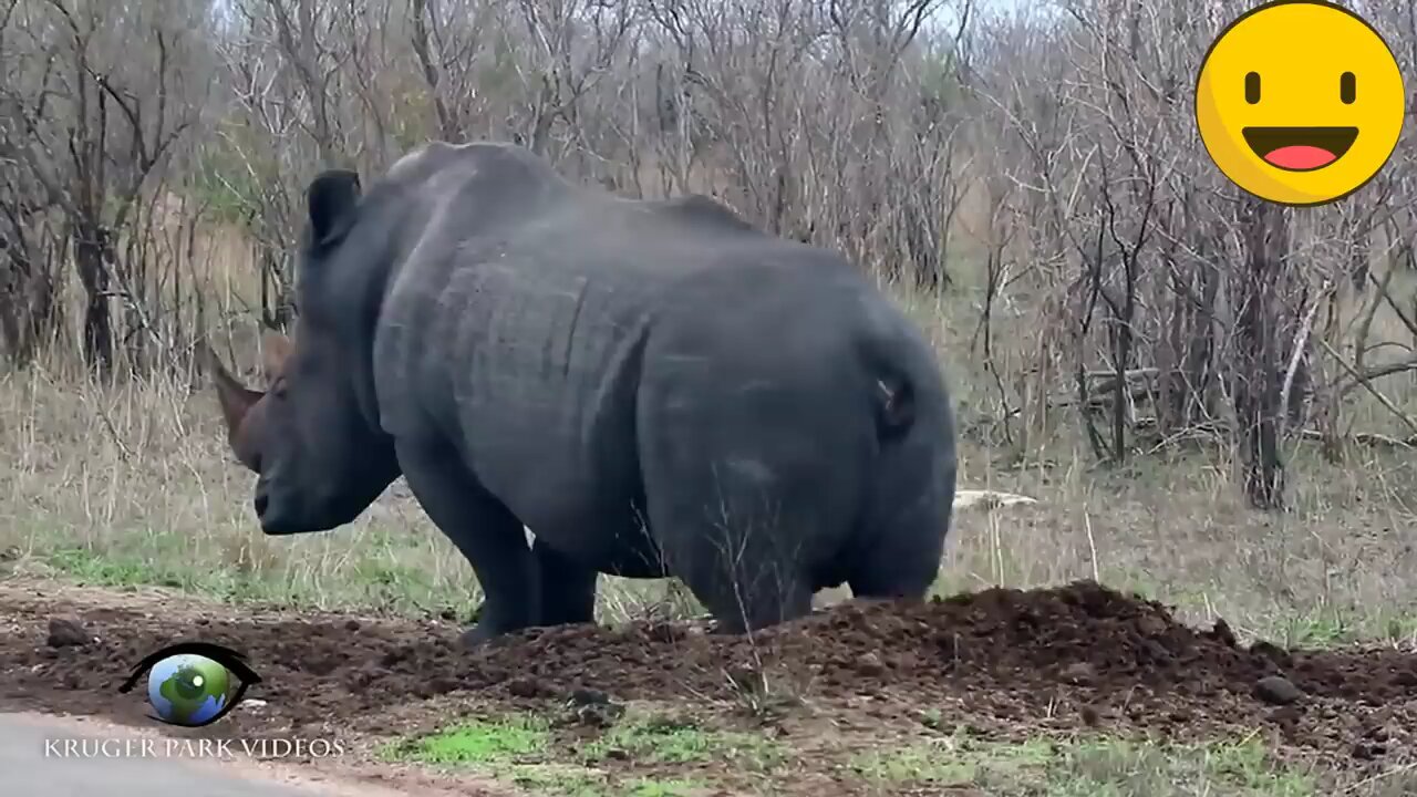 animal_farts_funny_video😄😄😅😅😂😂