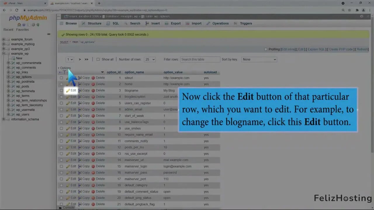 How to edit a database table via phpMyAdmin in cPanel with FelizHosting