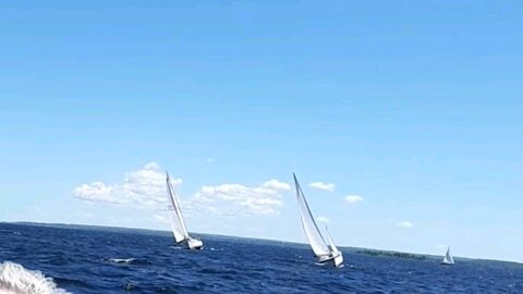 Sail Race