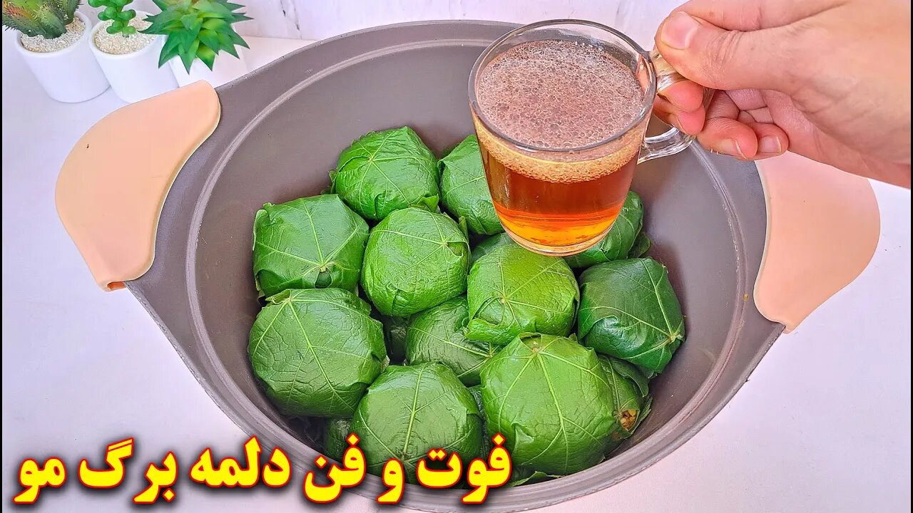 دلمه برگ مو خوشمزه | آموزش آشپزی ایرانی | غذای ایرانی