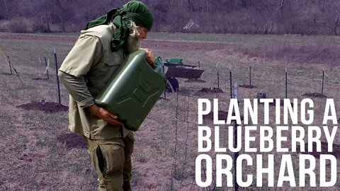 Planting Blueberries w/ Alan Kay