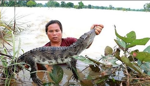 Woman find to catch crocodile with vegetable & cook for herself​​​​-Eating delicious HD