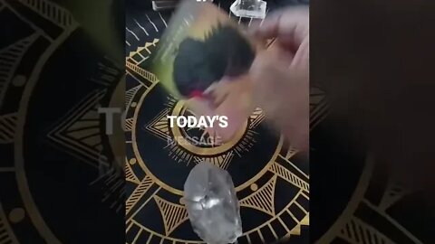 Daily card #oraclemessage