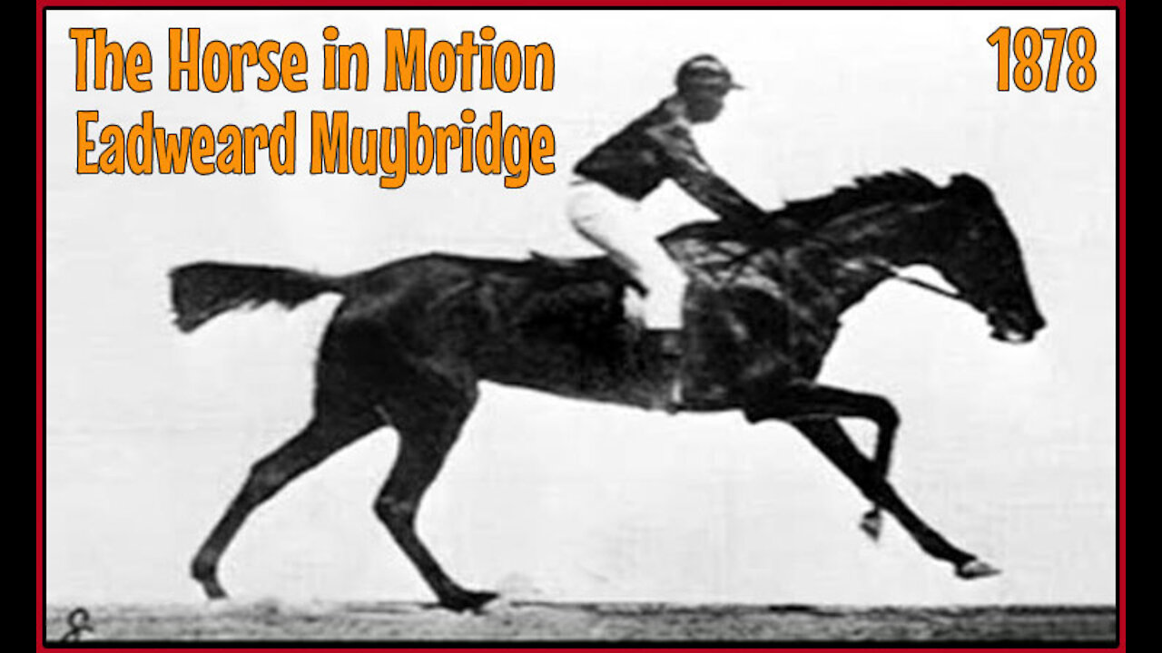 The Horse In Motion (First Film Ever) 1878