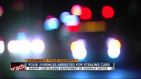 Sheriff: Teens pose on stolen car, arrested after running from deputies