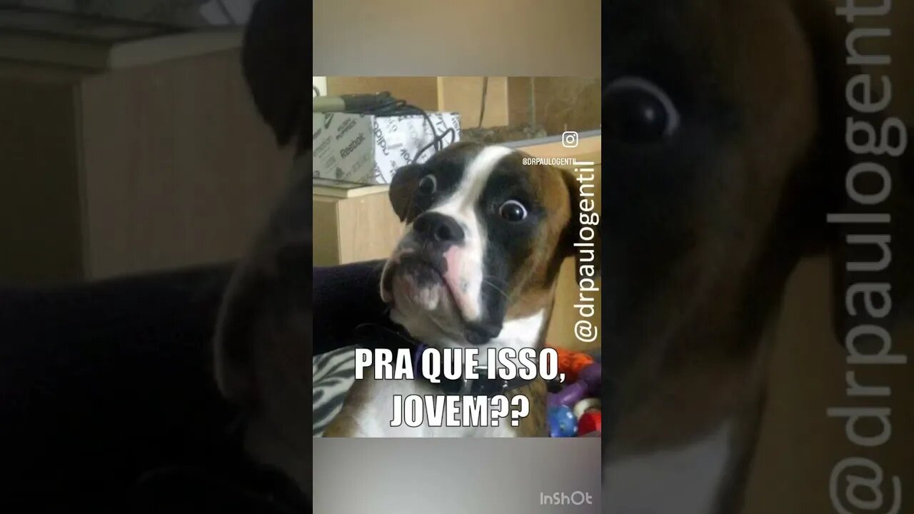 E ainda por cima é feia!!