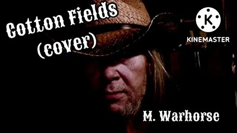 Cotton Fields (cover)