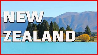 NEW ZEALAND | AUCKLAND | FJORDLAND SURFING | HIKING |HOBBITON