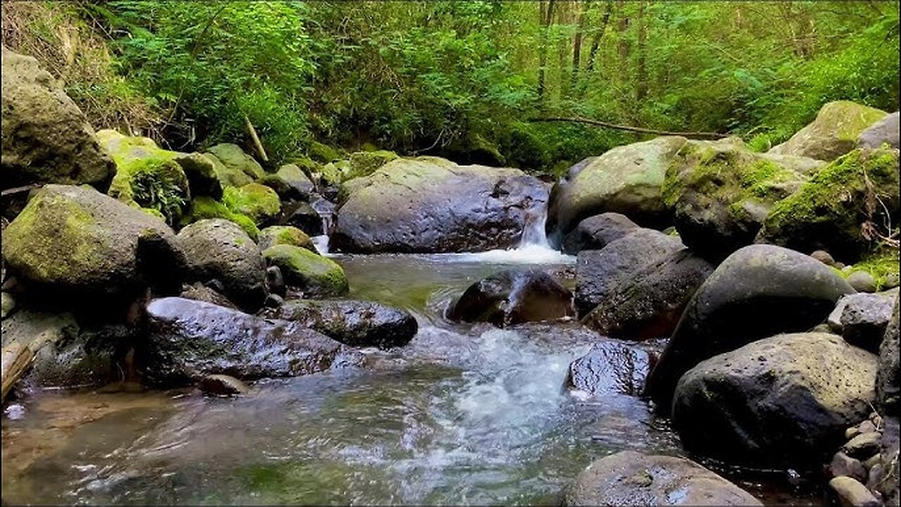 Relaxing River Sounds for Stress Relief, Deep Sleep, Meditation, and Yoga Practice