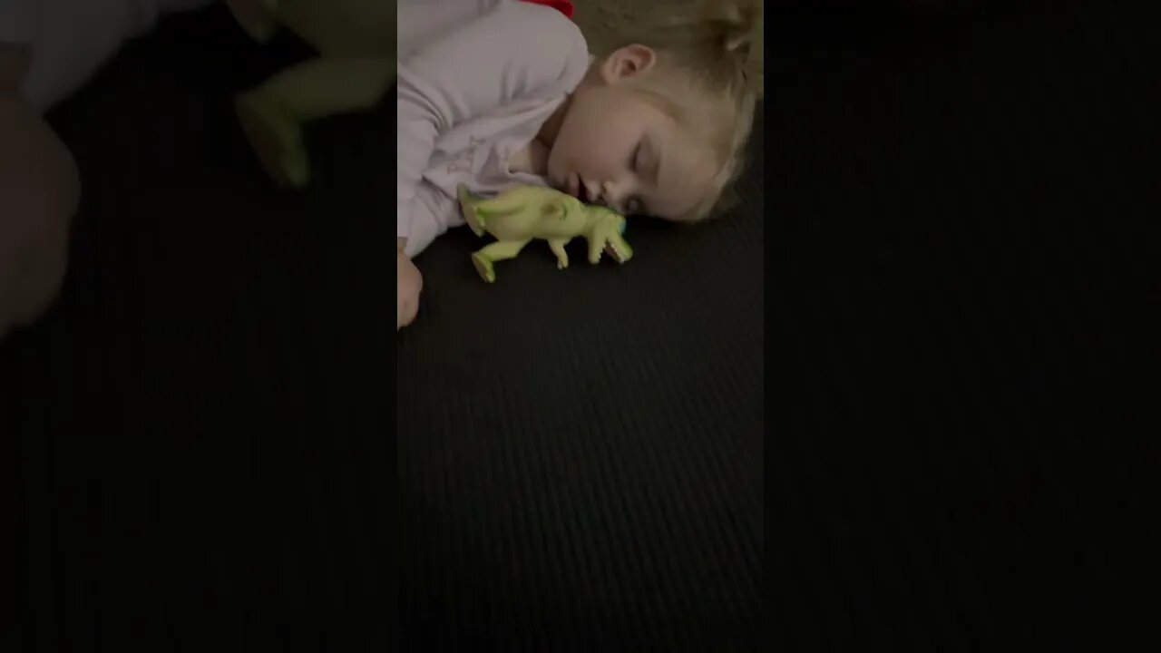 Funny Napping