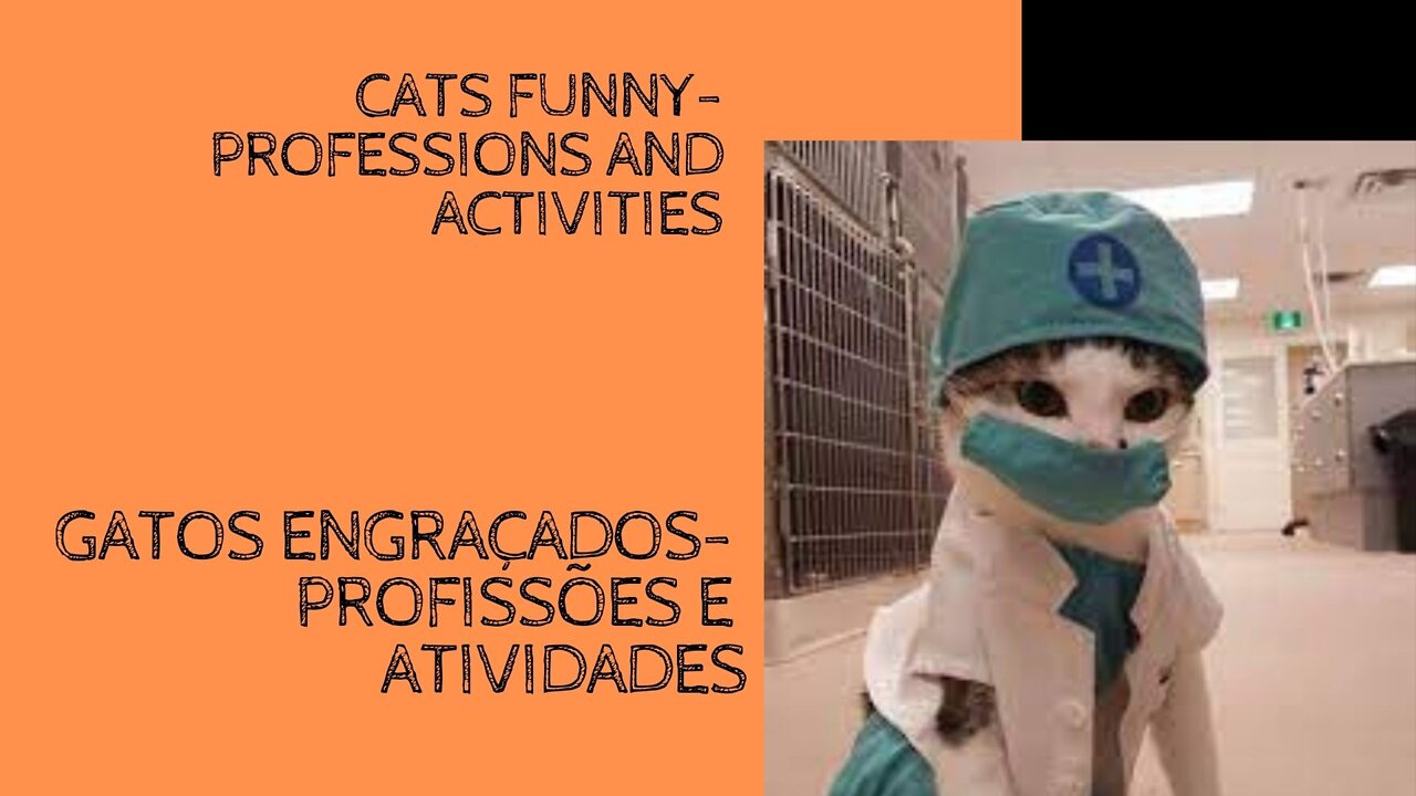 TOP CATS - PROFESSIONS - TOP GATOS - PROFISSÕES - 頂級貓-專業 - COVID TRIBUTE / HOMENAGEM / 貢