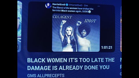 BLACK WOMEN: "FEMINIST BASTARDS" ARE EXPOSED FOR BEING SELLOUTS, HOES, AND EVIL BITCHES