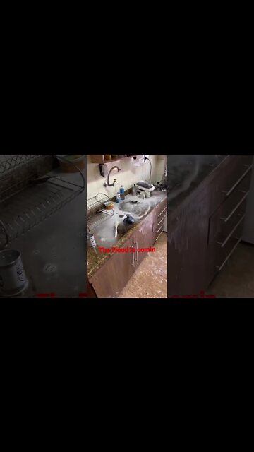 The flood is comin! #viral #shorts #tiktok #trending #youtubeshorts #funny #flood #youtube #youtuber