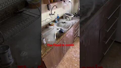 The flood is comin! #viral #shorts #tiktok #trending #youtubeshorts #funny #flood #youtube #youtuber
