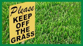 Keep Off The Lawn - The History of The Lawn | LAH