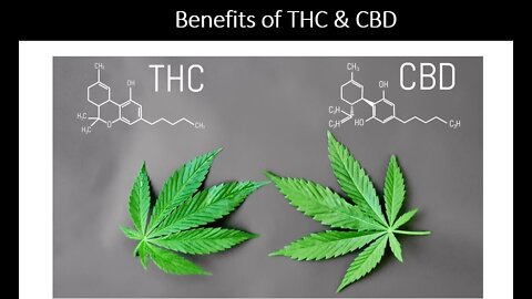 THC & CBD Benefits, Uses & Side Effects