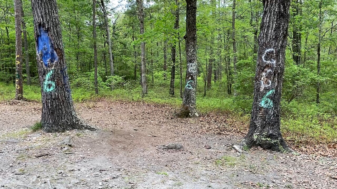 Walk and talk tour of the Devil's Tramping Ground, NC