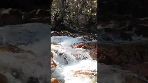 River Nevis Lower Falls Scotland #shorts #scotland #relaxingsounds