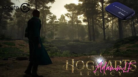 Hogwarts Legacy The Forbidden Forest Part 1