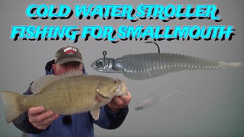 Cold Water Stroller Bass Fishing For Smallmouth Bass