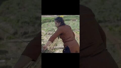 Nepali Short Movie