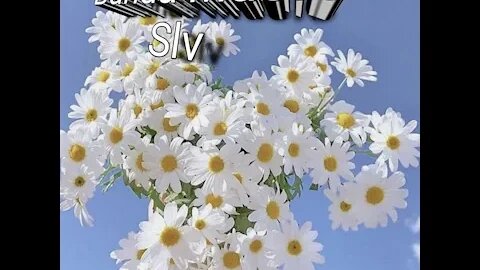 KU RINDU PADAMU BUNDA SLV VOL 01