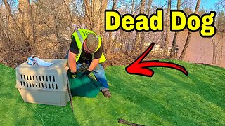 Extreme Warning: Dead Dog Found While Magnet Fishing!!!