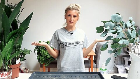 Repot With Me IN MY HOUSE! | Kittens, Horses and Feed Updates!