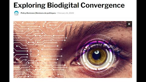 Exploring Biodigital Convergence