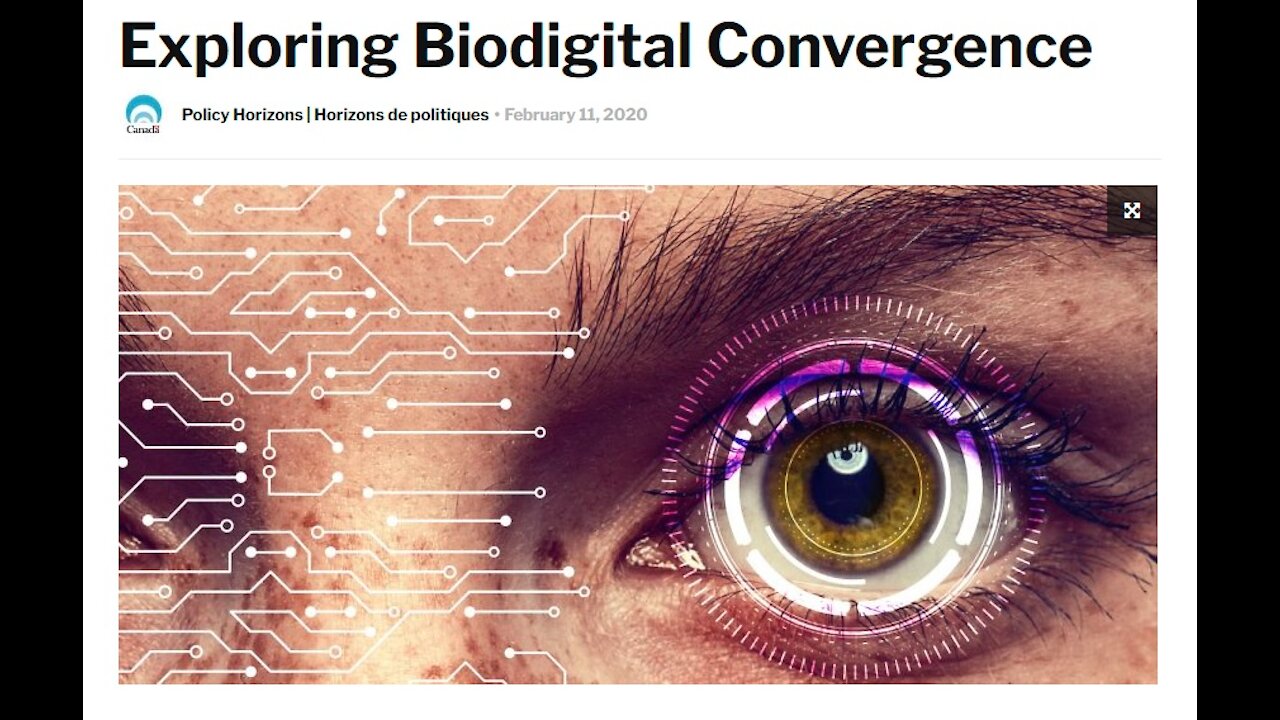 Exploring Biodigital Convergence