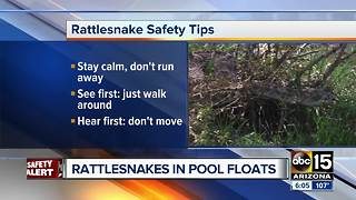 Buckeye family finds rattlesnakes inside p