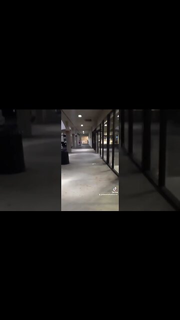 Gang-stalking in Action : The TikTok Edition on YouTube