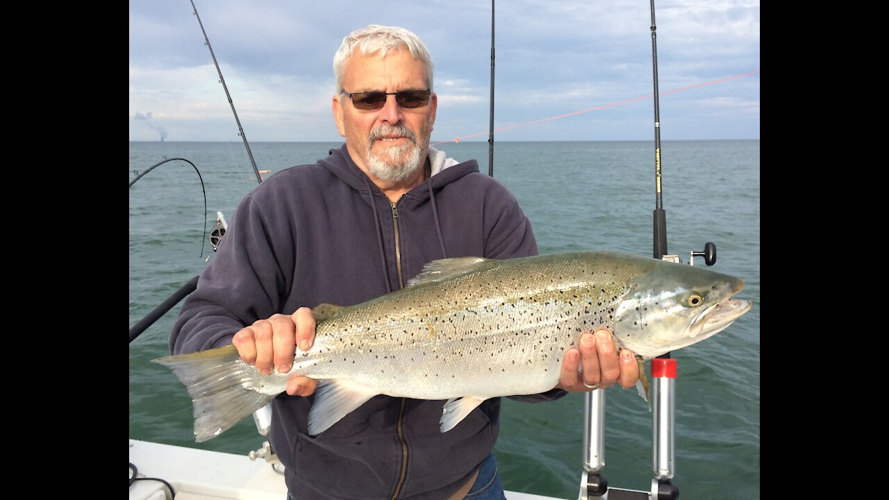 Extreme Huge Brown Trout from Lake Ontario