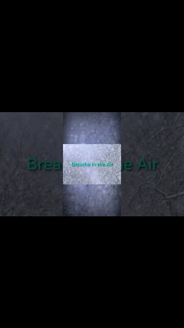 'Breathe in the Air' (Heart + Mind) [PREMIERE/PREVIEW] Feat.