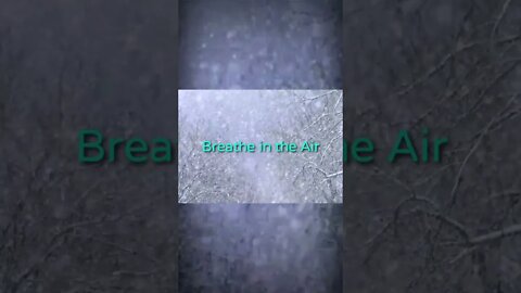 'Breathe in the Air' (Heart + Mind) [PREMIERE/PREVIEW] Feat.