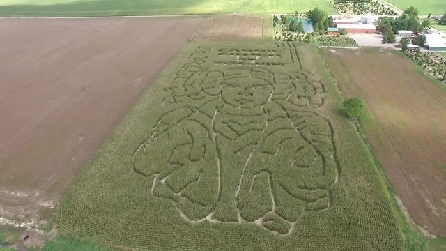 May the force be with you as you find your way through this epic Indiana "Princess Leia" corn maze