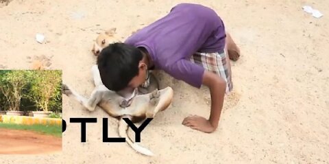 The 10-yr-old boy who feeds on dog milk