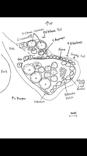 Identifying first Black Locust fence post