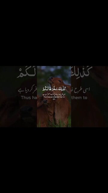 Eid ul Azha Mubarak ٹقبل اللّٰہ منا و منک #CookingWithHira #EidMubark #EidMubarak23