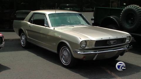 Spotlight on the news revised 8-13-2017