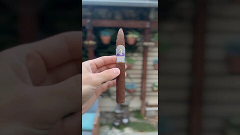 Diamond Crown Julius Caeser SHORT Review #cigar #cigars