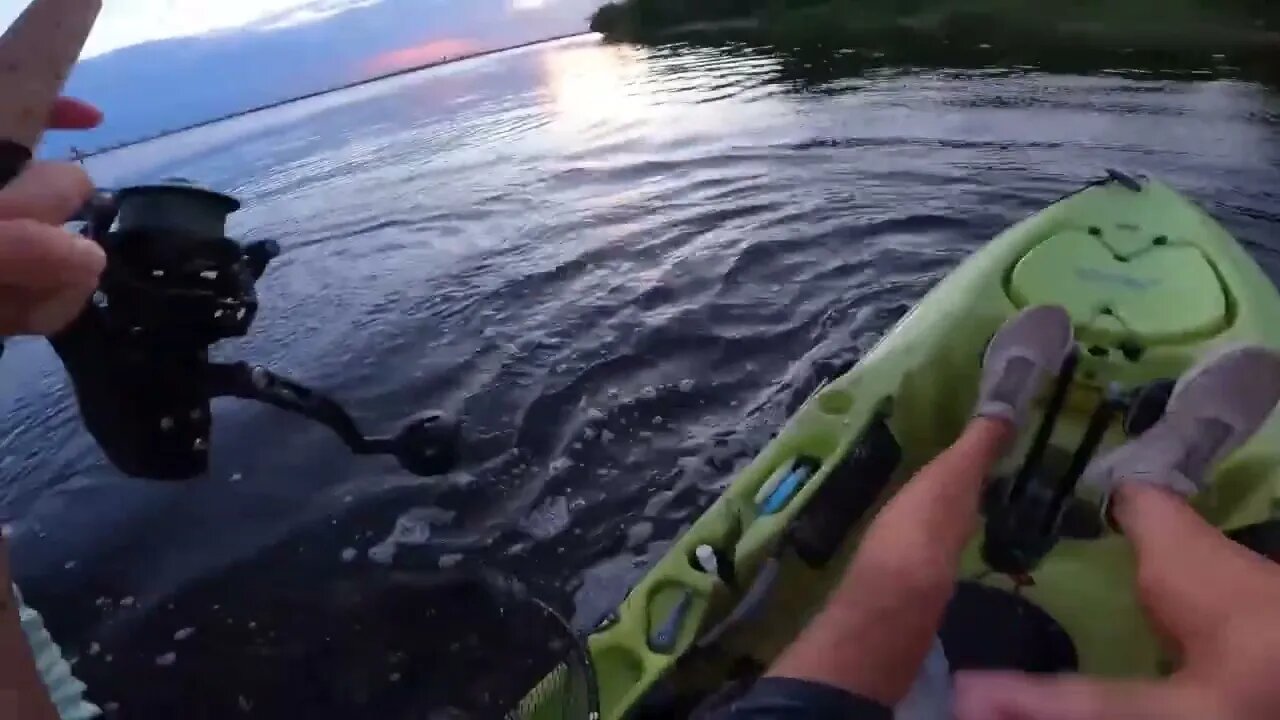 First Light Monster Fish Topwater Bite! Biggest I've Caught!!--8