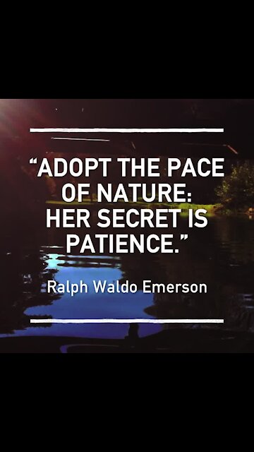 Adopt the pace of nature [GMG Originals]