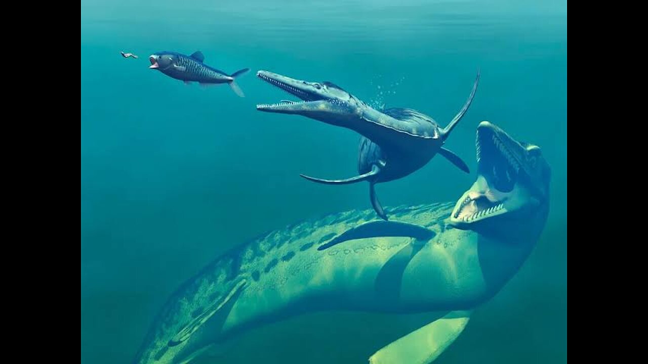 Morturneria: The Unique Cretaceous Marine Reptile