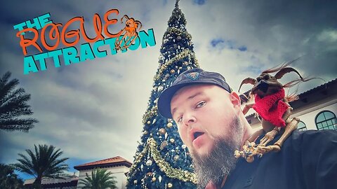 Live From Disney Springs Holiday Shopping Continues