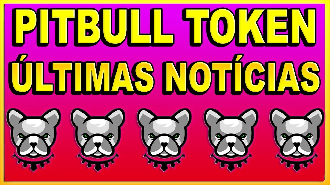 PITBULL TOKEN ÚLTIMAS NOTÍCIAS