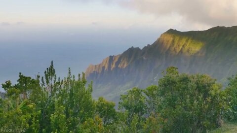 Incredible ! views ! of ! Hawaii's ! tropical ! islands