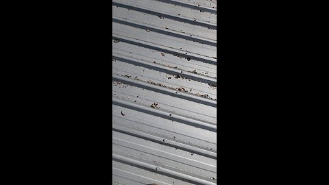 some roof fun in the sun